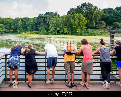 Touristen beobachten Schildkröten am Turtle Pond, Central Park, New York. Stockfoto