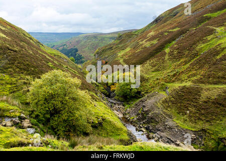 Swinner Gill, in der Nähe von Muker, Swaledale, Yorkshire Dales, England, UK Stockfoto