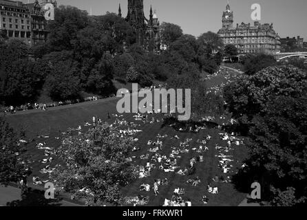 Sonnenanbeter in den Princes Gardens, Edinburgh Stockfoto