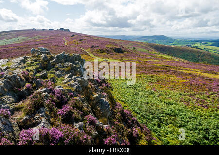 Schäfers Rock auf der Stiperstones Ridge, Shropshire, England, UK.  Des Teufels Stuhl Felsen in der Ferne. Stockfoto