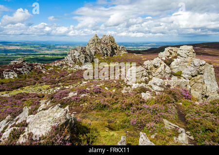 Des Teufels Stuhl Felsen auf der Stiperstones Ridge, Shropshire, England, UK. Stockfoto