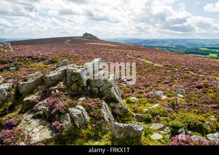 Manstone Rock aus des Teufels Stuhl rockt auf der Stiperstones Ridge, Shropshire, England, UK Stockfoto