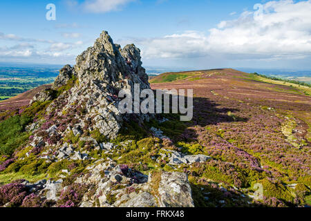 Des Teufels Stuhl Felsen auf der Stiperstones Ridge, Shropshire, England, UK Stockfoto