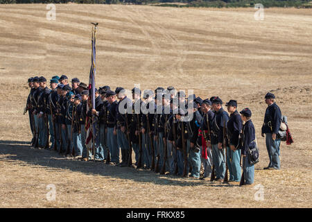 Unionssoldaten auf ein American Civil War Reenactment bei Hawes Farm, Anderson, Kalifornien. Stockfoto