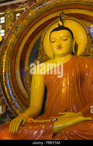 Sri Lanka, Colombo, Gangaramaya Tempel, Gebetsraum, große Buddha-Statue Stockfoto
