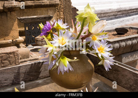 Anuradhapura, Sri Lanka, Mirisaveti, Mirisavetiya Dagoba, Lotusblumen als Opfergaben Stockfoto