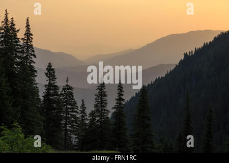 Sommer morgen Berglandschaft. Stockfoto