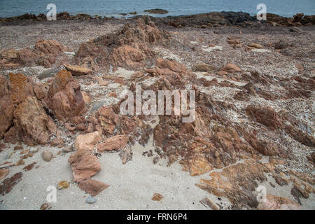 vulkanische Felsen am Strand mit Sand und Algen und Wasserlinie, Geologie trail Port Victoria Australien Stockfoto