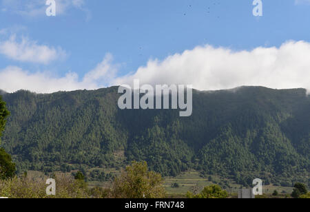 Parque Nacional Caldera de Taburiente in der Nähe von El Paso, La Palma, Kanarische Inseln, Spanien, EU Stockfoto