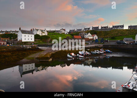 St. Abbs auf der Süd-Ost-Küste von Schottland. Stockfoto