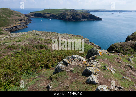 Die Landschaft auf der Insel Skomer vor der Küste von Pembrokshire in Wales, wo die Papageientaucher auf der Insel reichlich vorhanden sind. Stockfoto