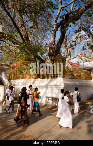 Sri Lanka, Anuradhapura, Sri Maha Bodi Tempel, Heilige Bo-Baum, mit Gläubigen Stockfoto