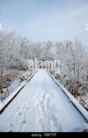 Wauconda, Illinois schneebedeckte Park Bezirk Wanderweg entlang Pony See. Stockfoto