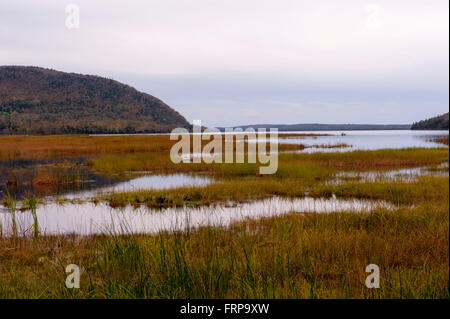 Bras d ' or Lake, Cape Breton, Nova Scotia, Kanada Stockfoto