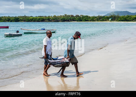 Fischer tragen zwei Thunfisch auf den Strand von Tamarin Bucht von Mauritius Stockfoto