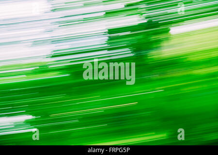 Leichte abstrakte natürlichen grünen Bewegungen Hintergrund. Stockfoto