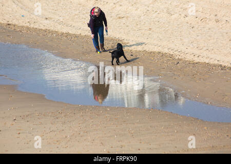 Bournemouth, Dorset, UK 23. März 2016. Frau spielt mit Hund an einem herrlichen warmen sonnigen Tag am Strand von Bournemouth spiegelt sich im Wasser Credit: Carolyn Jenkins/Alamy Live News Stockfoto
