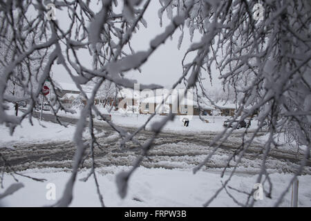 Denver, Colorado, USA. 23. März 2016. Eine Person Schaufeln Schnee vom Gehsteig in Denver, Colorado, USA, auf Mittwoch, 23. März 2016. Starke Winde und schwere verschneite Großraum Denver im Frühjahr Blizzard heute. : Bildnachweis Matthew Staver: Matthew Staver/ZUMA Draht/Alamy Live-Nachrichten Stockfoto