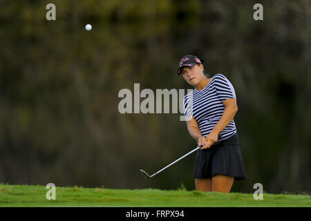 Daytona Beach, FL, USA. 29. September 2013. Calle Nielson während der dritten Runde der Symetra Tour Championship LPGA International am 29. September 2013 in Daytona Beach, Florida. ZUMA Press/Scott A. Miller © Scott A. Miller/ZUMA Draht/Alamy Live-Nachrichten Stockfoto