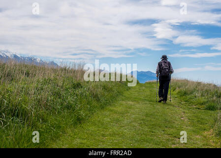 Kaikoura, Neuseeland. 21. Oktober 2015. Kaikoura, Neuseeland - 21. Oktober 2015 - Spaziergänge ein weibliche Wanderer mit trekking-Stöcke auf dem Kaikoura Halbinsel Gehweg mit schneebedeckten Bergen im Hintergrund am 21. Oktober 2015 in Kaikoura, Neuseeland. © Dpa/Alamy Live-Nachrichten Stockfoto