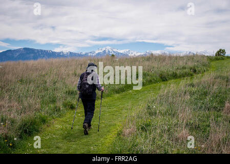 Kaikoura, Neuseeland. 21. Oktober 2015. Kaikoura, Neuseeland - 21. Oktober 2015 - Spaziergänge ein weibliche Wanderer mit trekking-Stöcke auf dem Kaikoura Halbinsel Gehweg mit schneebedeckten Bergen im Hintergrund am 21. Oktober 2015 in Kaikoura, Neuseeland. © Dpa/Alamy Live-Nachrichten Stockfoto