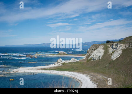 Kaikoura, Neuseeland. 21. Oktober 2015. Kaikoura, Neuseeland - 21. Oktober 2015 - ein touristisches Boot hält neben einer Kolonie Neuseeland Seebär (Arctocephalus Forsteri) am 21. Oktober 2015 in Kaikoura, Neuseeland. © Dpa/Alamy Live-Nachrichten Stockfoto