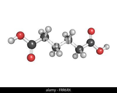 Adipinsäure Säure, Nylon (Polyamid) Baustein. Atome sind als Kugeln mit konventionellen Farbcodierung in eine Kugel und Sti vertreten. Stockfoto