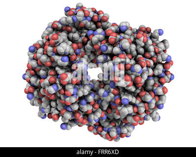 Chemische Struktur der menschlichen Hämoglobin (Hb) Protein-Molekül. Eisen-haltige Sauerstoff Transportprotein in den Erythrozyten gefunden. Stockfoto