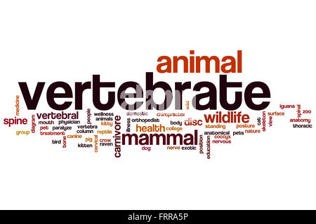 Vertebrate Word Cloud-Konzept Stockfoto