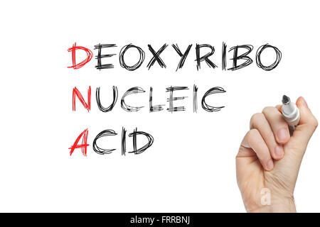 Handschrift, die DNA auf eine weiße Tafel Stockfoto