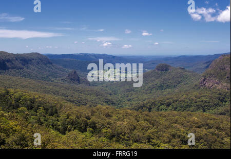 Lamington National Park, Regenwald, Australien Stockfoto