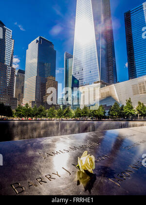 Einzelne Rose auf gravierten Namen von Opfern am 9/11 Memorial, New York, USA Stockfoto