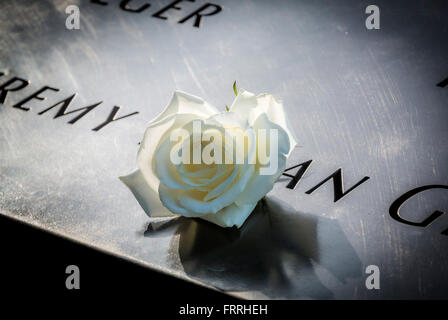 Einzelne Rose auf gravierten Namen von Opfern am 9/11 Memorial, New York, USA Stockfoto