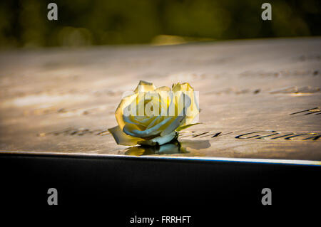 Einzelne Rose auf gravierten Namen von Opfern am 9/11 Memorial, New York, USA Stockfoto