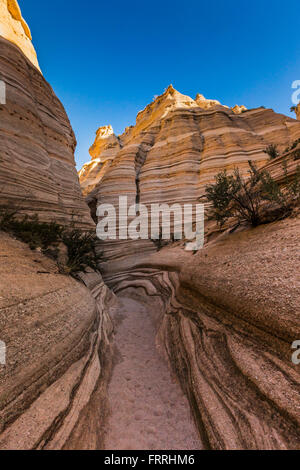 Kreuz-Bett lagen Peralta Tuff entlang dem Slot Canyon Trail im Kasha-Katuwe Zelt Rocks National Monument in New Mexico, USA Stockfoto