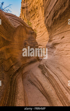 Kreuz-Bett lagen Peralta Tuff entlang dem Slot Canyon Trail im Kasha-Katuwe Zelt Rocks National Monument in New Mexico, USA Stockfoto