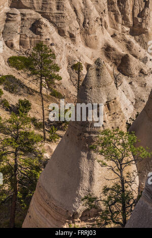 Zelt-förmigen Hoodoos betrachtet aus dem Slot Canyon Trail im Kasha-Katuwe Zelt Rocks National Monument in New Mexico, USA Stockfoto