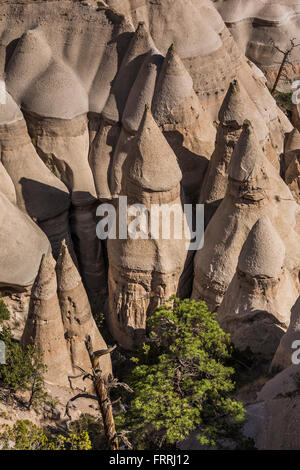 Zelt-förmigen Hoodoos betrachtet aus dem Slot Canyon Trail im Kasha-Katuwe Zelt Rocks National Monument in New Mexico, USA Stockfoto