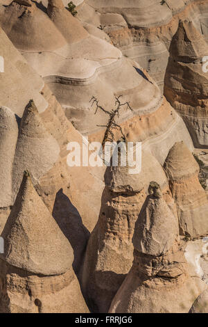 Zelt-förmigen Hoodoos betrachtet aus dem Slot Canyon Trail im Kasha-Katuwe Zelt Rocks National Monument in New Mexico, USA Stockfoto