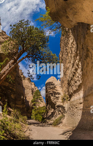 Wandern entlang dem Slot Canyon Trail am Kasha-Katuwe Zelt Rocks National Monument in New Mexico, USA Stockfoto