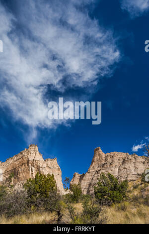 Hoodoos und Klippen entlang der Höhle Loop Trail im Kasha-Katuwe Zelt Rocks National Monument in New Mexico, USA Stockfoto