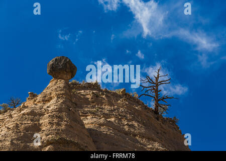 Hoodoos und Klippen entlang der Höhle Loop Trail im Kasha-Katuwe Zelt Rocks National Monument in New Mexico, USA Stockfoto