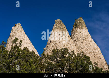 Hoodoos und Klippen entlang der Höhle Loop Trail im Kasha-Katuwe Zelt Rocks National Monument in New Mexico, USA Stockfoto