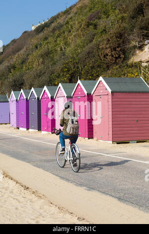 Radfahren entlang der Promenade vorbei an Schattierungen von lila Strandhütten in Boscombe Bournemouth im März Stockfoto