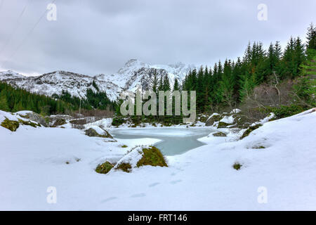 Storvatnet See vor der Landschaft der Lofoten Berge auf der Insel Flakstadoy im Winter. Stockfoto