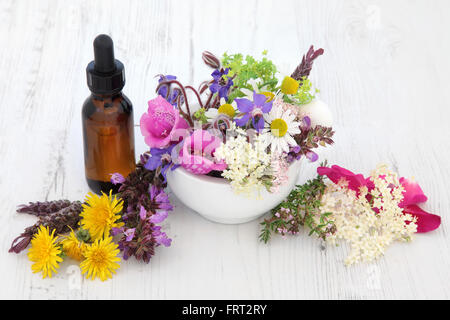 Naturheilkundliche Blumen- und Kräutergarten Auswahl in einem Mörser mit Stößel und medizinische Tropfflasche auf weißem Hintergrund. Stockfoto