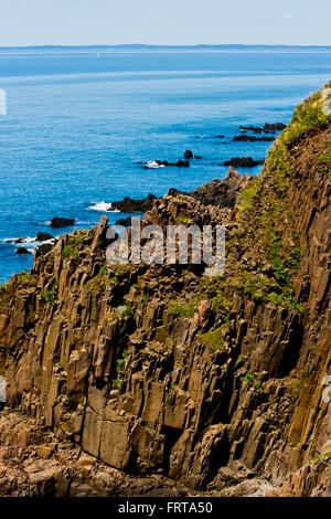 Basaltfelsen des Grand Manan Island in der Bay Of Fundy. Stockfoto