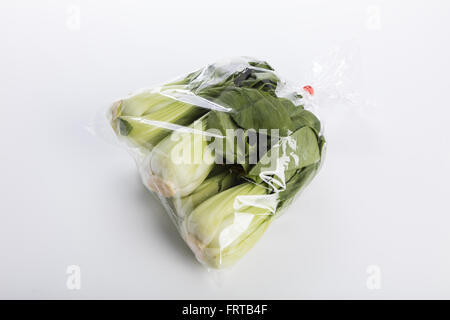 Grün-Bok Choy Gemüse auf weißem Hintergrund Stockfoto