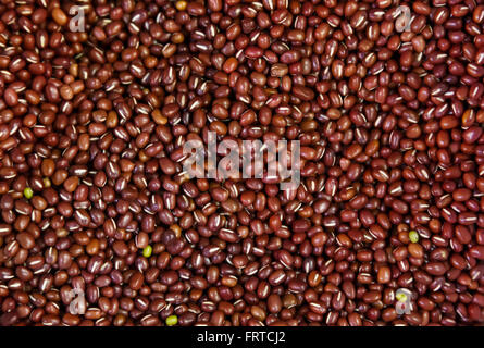 rote Bohnen, Essen Muster für Hintergrundtextur. Stockfoto