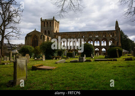 Jedburgh Abbey Stockfoto